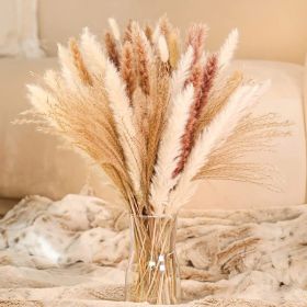 60/62/76/80/85/100pcs Boho Pampas Grass Bouquet Home Decor Floral Dried Flowers Wedding Arrangements Natural Reed Bunny Tails (Color: 85pcs, Ships From: China)